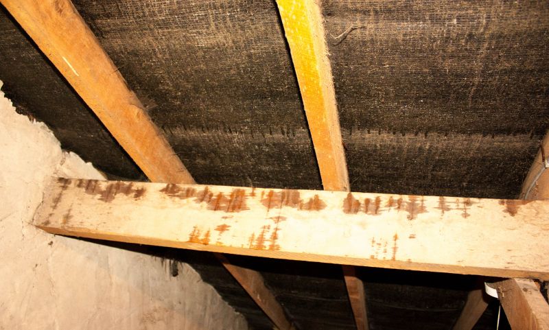 Building Repair Service in Denver, CO